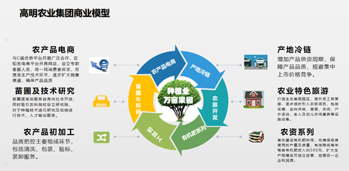 公司簡介 引領未來，專注電子商務的卓越品牌