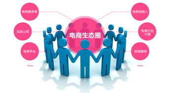 2017年國(guó)內(nèi)電商的正確打開方式 轉(zhuǎn)型升級(jí)與精細(xì)化經(jīng)營(yíng)