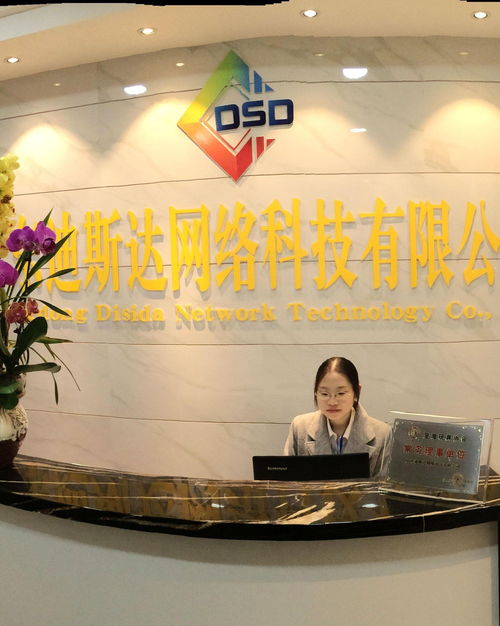 廣東迪斯達(dá)網(wǎng)絡(luò)科技 引領(lǐng)信息技術(shù)咨詢(xún)服務(wù)新潮流